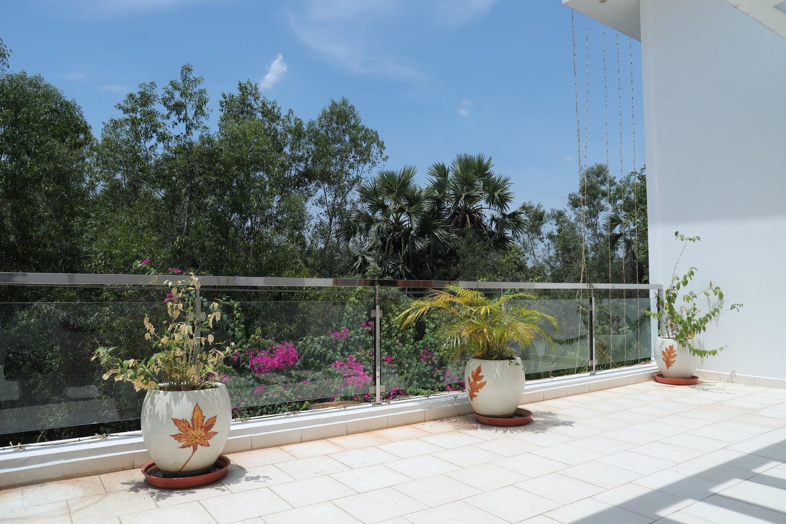 Terrace with planters looking over the trees